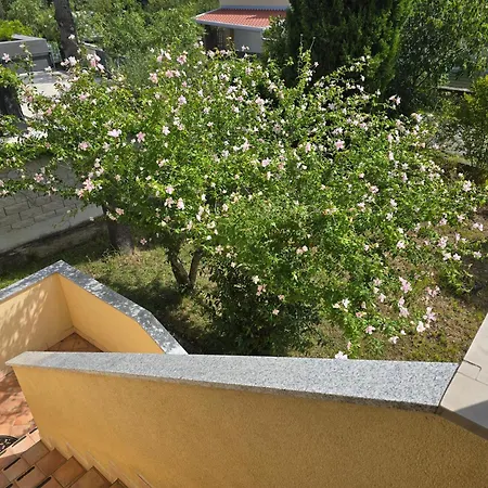 Bay View Appartement *